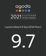 LYRS 2021 Customer Review Awards