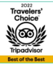2022 Tripadvisor Best of the Best