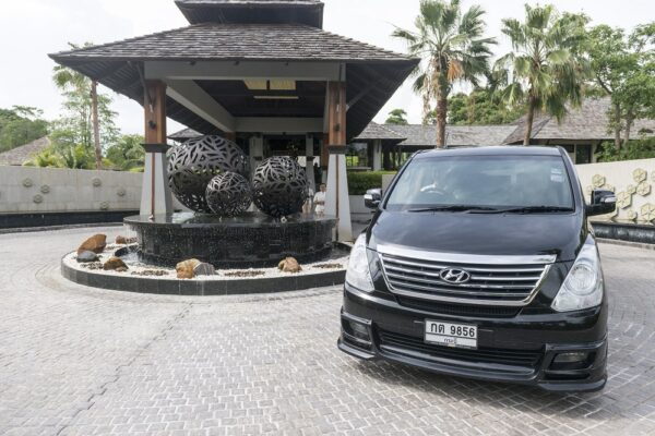 Layana Limousine Service (1)